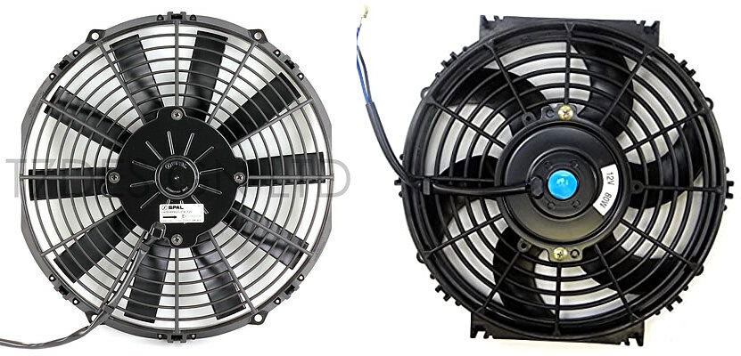 fans